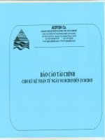 Báo cáo tài chính quý 1 năm 2016 trong giai đoạn chuyển đổi - Công ty Cổ phần Xuất nhập khẩu Thủy sản An Giang