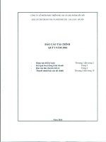 Báo cáo tài chính quý 1 năm 2016 - Công ty Cổ phần Phát triển Phụ gia và Sản phẩm Dầu mỏ