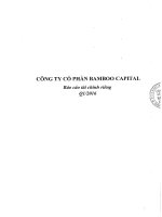 Báo cáo tài chính công ty mẹ quý 1 năm 2016 - Công ty cổ phần Bamboo Capital