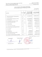 Báo cáo tài chính quý 3 năm 2009 - Công ty cổ phần Xi măng Vicem Bút Sơn