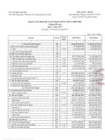 Báo cáo tài chính hợp nhất quý 3 năm 2015 - Công ty Cổ phần Nam Việt