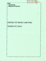 Báo cáo tài chính hợp nhất quý 1 năm 2013 - Công ty cổ phần Xây dựng và Nhân lực Việt Nam