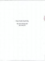 Báo cáo tài chính hợp nhất quý 1 năm 2016 - CTCP Cảng Đà Nẵng