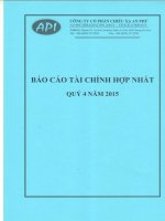 Báo cáo tài chính hợp nhất quý 4 năm 2015 - Công ty Cổ phần Chiếu xạ An Phú