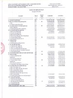 Báo cáo tài chính quý 1 năm 2013 - Công ty Cổ phần Chứng khoán Châu Á – Thái Bình Dương