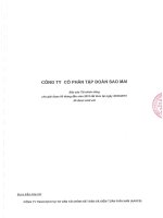 Báo cáo tài chính công ty mẹ quý 2 năm 2015 (đã soát xét) - Công ty Cổ phần Tập đoàn Sao Mai