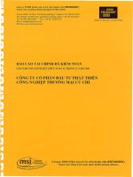 Báo cáo tài chính năm 2009 (đã kiểm toán) - Công ty Cổ phần Đầu tư Phát triển Công nghiệp - Thương mại Củ Chi