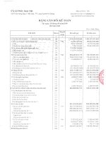 Báo cáo tài chính hợp nhất quý 3 năm 2010 - Công ty Cổ phần Nam Việt