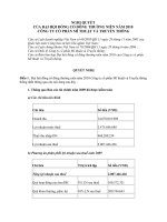 Nghị quyết Đại hội cổ đông thường niên năm 2010 - Công ty Cổ phần Mĩ thuật và Truyền thông