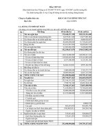 Báo cáo tài chính quý 4 năm 2009 - Công ty Cổ phần Thủy sản Bạc Liêu