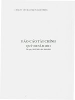 Báo cáo tài chính quý 3 năm 2011 - Công ty Cổ phần Chế biến và Xuất nhập khẩu Thủy sản CADOVIMEX