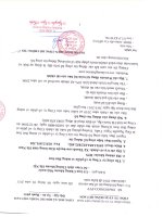 Báo cáo tài chính năm 2010 (đã kiểm toán) - Công ty cổ phần Xi măng Vicem Bút Sơn