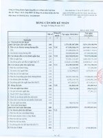 Báo cáo tài chính quý 2 năm 2012 - Công ty cổ phần Chứng khoán Ngân hàng Đầu tư và Phát triển Việt Nam