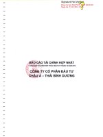 Báo cáo tài chính hợp nhất năm 2013 (đã kiểm toán) - Công ty Cổ phần Đầu tư Châu Á - Thái Bình Dương