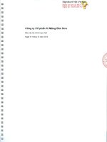 Báo cáo tài chính hợp nhất năm 2013 (đã kiểm toán) - Công ty Cổ phần Xi măng Bỉm Sơn