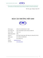 Báo cáo thường niên năm 2010 - Công ty Cổ phần Đầu tư CMC