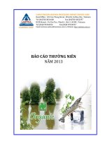 Báo cáo thường niên năm 2013 - Công ty Cổ phần Chế biến và Xuất nhập khẩu Thuỷ sản Cà Mau