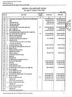 Báo cáo tài chính năm 2008 - Tổng CTCP Bảo hiểm Bảo Long