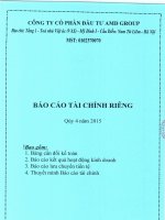 Báo cáo tài chính công ty mẹ quý 4 năm 2015 - Công ty cổ phần Đầu tư AMD Group