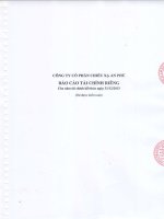 Báo cáo tài chính công ty mẹ năm 2013 (đã kiểm toán) - Công ty Cổ phần Chiếu xạ An Phú