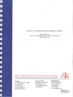 Báo cáo tài chính năm 2010 (đã kiểm toán) - Công ty Cổ phần Chứng khoán An Phát