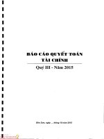 Báo cáo tài chính quý 3 năm 2015 - Công ty cổ phần Vicem Bao bì Bỉm Sơn