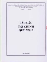 Báo cáo tài chính công ty mẹ quý 2 năm 2012 - Công ty cổ phần Đầu tư Hạ tầng Kỹ thuật T.P Hồ Chí Minh