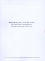 Báo cáo tài chính năm 2009 (đã kiểm toán) - Công ty Cổ phần Cao su Bến Thành