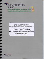Báo cáo tài chính năm 2013 (đã kiểm toán) - Công ty Cổ phần Xây dựng và Giao thông Bình Dương