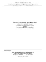 Báo cáo tài chính năm 2009 (đã kiểm toán) - Công ty Cổ phần Đầu tư CMC