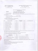 Báo cáo tình hình quản trị công ty - Công ty Cổ phần Đầu tư Châu Á - Thái Bình Dương