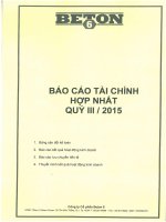 Báo cáo tài chính hợp nhất quý 3 năm 2015 - Công ty Cổ phần Beton 6