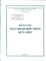 Báo cáo tài chính hợp nhất quý 4 năm 2012 - Công ty cổ phần Đầu tư Hạ tầng Kỹ thuật T.P Hồ Chí Minh