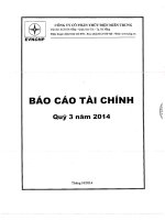 Báo cáo tài chính quý 3 năm 2014 - Công ty Cổ phần Thủy điện miền Trung