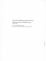 Báo cáo tài chính năm 2014 (đã kiểm toán) - CTCP Xuất nhập khẩu Than - Vinacomin