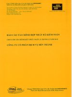 Báo cáo tài chính hợp nhất năm 2010 (đã kiểm toán) - Công ty Cổ phần Dịch vụ Bến Thành