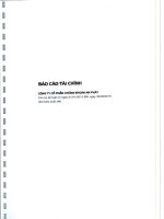 Báo cáo tài chính quý 2 năm 2015 (đã soát xét) - Công ty Cổ phần Chứng khoán An Phát