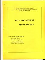 Báo cáo tài chính quý 4 năm 2014 - Công ty Cổ phần Chứng khoán ALPHA