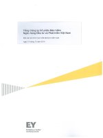 Báo cáo tài chính hợp nhất năm 2014 (đã kiểm toán) - Tổng Công ty Cổ phần Bảo hiểm Ngân hàng Đầu tư và phát triển Việt Nam