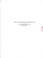Báo cáo tài chính hợp nhất năm 2013 (đã kiểm toán) - Công ty Cổ phần Thương nghiệp Cà Mau
