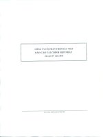 Báo cáo tài chính hợp nhất quý 4 năm 2010 - Công ty Cổ phần Đầu tư BVG