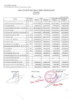 Báo cáo tài chính hợp nhất quý 1 năm 2013 - Công ty Cổ phần Nam Việt