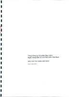 Báo cáo tài chính hợp nhất quý 4 năm 2013 - Tổng Công ty Cổ phần Bảo hiểm Ngân hàng Đầu tư và phát triển Việt Nam