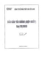 Báo cáo tài chính hợp nhất quý 4 năm 2013 - Công ty Cổ phần Thủy Sản Cửu Long