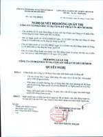 Nghị quyết Hội đồng Quản trị ngày 30-12-2009 - Công ty cổ phần Đầu tư Hạ tầng Kỹ thuật T.P Hồ Chí Minh