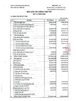 Báo cáo tài chính quý 3 năm 2009 - Công ty Cổ phần Bê tông Biên Hòa