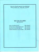 Báo cáo tài chính quý 4 năm 2013 - Công ty cổ phần Khoáng sản Bình Định