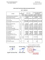 Báo cáo tài chính hợp nhất quý 3 năm 2010 - Công ty Cổ phần Bê tông Biên Hòa