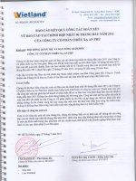 Báo cáo kết quả kinh doanh hợp nhất soát xét quý 2 năm 2011 - Công ty Cổ phần Chiếu xạ An Phú