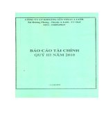 Báo cáo tài chính quý 3 năm 2010 - Công ty Cổ phần Khoáng sản Vinas A Lưới